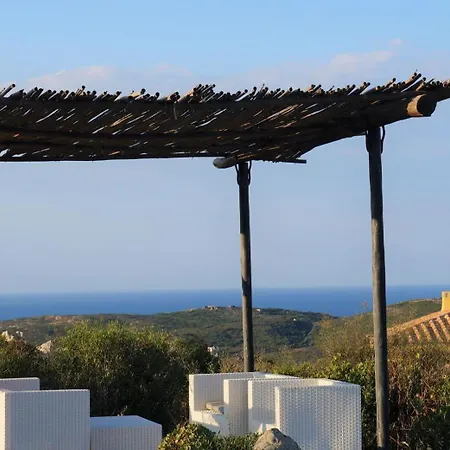 Bouganville